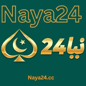 Naya24 logo